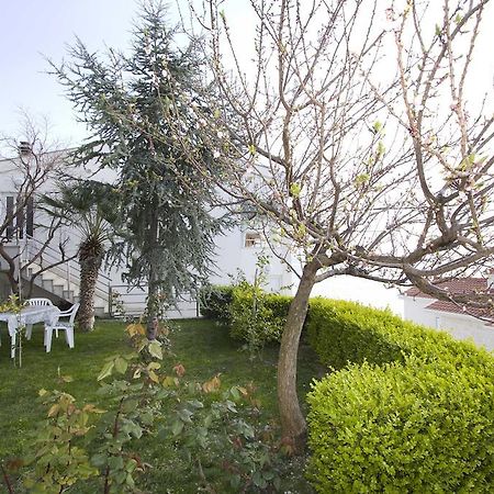 Apartment Pcelica Maja Подстрана Стая снимка